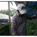 홍정농장 이미지