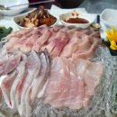 엔돌핀 선어 네이버블로그