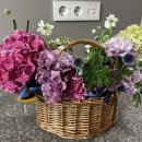 우면365의원 이미지