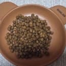 굿독 | 🧸스페시픽 독 시니어 오메가-3사료 후기🧸