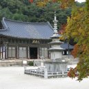 문수체육공원중앙길L | 천년 고찰, 직지사에서 만나는 시간의 흐름