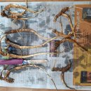 검성로-11 이미지