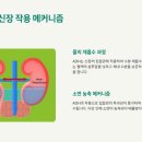 푸더스