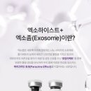 릿업뷰티