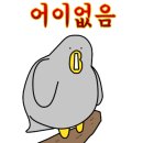 금당우리집오리 이미지