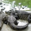 복도농장 이미지