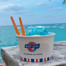 아이스크림블루 | [오키나와 카페]아메리칸빌리지 대표 아이스크림 블루씰 (솔트쿠키,블루웨이브 후기)