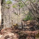 운교2리 이미지