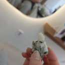 로다살롱 - 군산시 신설1길 5-5 | 김포 장기동 미용실 링거펌 단골 로다살롱 내돈내산 후기