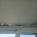 우성사 | 수원 우성 베란다 누수 페인트 탄성코트 후기