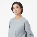 디어 그레이즈