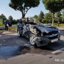 서호동-51 이미지