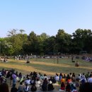 2022 수원연극축제 <숲속의 파티> 이미지