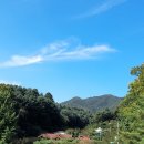 신명펜션 네이버블로그