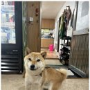 별빛마루펜션 이미지