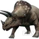 트리케라톱스-1 이미지