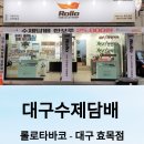 롤로타바코 - 동구 | 롤로타바코