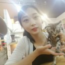 신산헤어