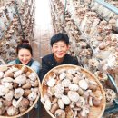 내탐마을 이미지