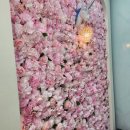 곡반정동 키즈카페 두 곳 방문후기 리카키즈룸 수원라퍼스트점 vs 무키무키 수원 하늘채점