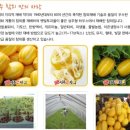 현대택배 | 특산물 전문 현대택배쇼핑몰에서 달콤하고 맛있는 성주참외 만나보아요!!!!