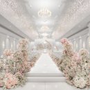 수원-1847 | [결혼준비/본식스냅] 밝은 홀 가성비 스냅 업체 비교 (다이시스웨딩, 하얀스냅, 캐치아이웨딩, 그대로운...