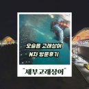 고래천국 | 세부고래상어투어 금지 아님 주의 오슬롭 패스트트랙 모알보알 후기