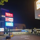 블루애견