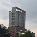(주)전주영화호텔 | 전주여행 시그니처호텔 내돈내산 디럭스온돌룸 후기(조식)