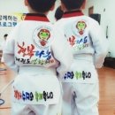 용인대청솔태권도 이미지