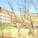 대청중학교 이미지