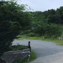 청주시 보전녹지 2760평 매가1억 투자추천 이미지