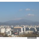 자르시오