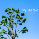 성북동-866 | 9월 제주도여행 가볼만한곳 | 서귀포 관광지 치유의숲, 제주 빵집 도민맛집