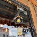 [남원] 남원 고즈넉한 카페, 월향재 단골 인증 후기 (+남원 아이랑 당일 치기 일정까지)