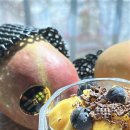 브리지팜 이미지