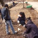 영보농장 이미지