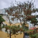 청솔환경(주) 이미지