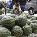 청과물처리장 이미지