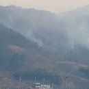 국가재난 지리산 산불 현재상황 이미지