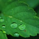 부천제일요양병원 이미지