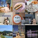 먹부림 부산여행 2박3일 2일차 (영진돼지국밥본점, 다대포해수욕장, 비프광장 씨앗호떡, 이재모피자...