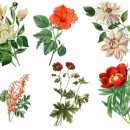 그린 행정사 이미지