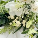 리틀화이트 이미지