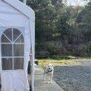 로하스마을 | 정읍 로하스 캠핑장 D12 사이트 명당 후기