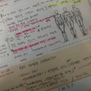 YES공무원체력전문PT | 계양구 일대일 전문 PT 영구스튜디오 김태진 트레이너
