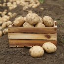 김제상회 이미지