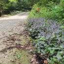 객현1리 이미지