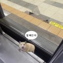 소슬바람 이미지