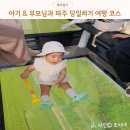 6.25참전동지 | 아기랑 부모님과 파주 가볼만한곳 당일치기 여행 임진각 헤이리마을 가드너스 모쿠슈라